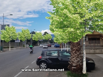 San Vitaliano green, via Nazionale alberata di Tigli anti inquinamento