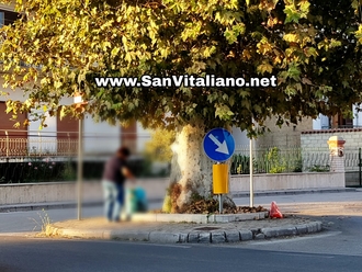 San Vitaliano, amore per la propria comunità : residente raccoglie le foglie secche del Grande Albero