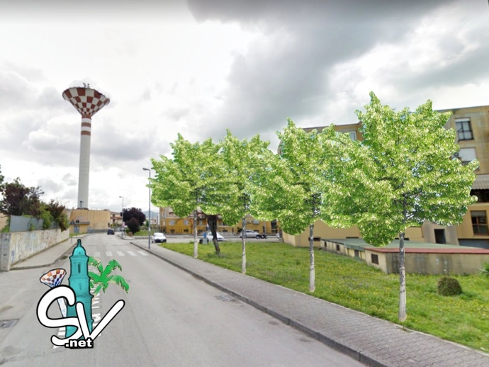 San Vitaliano, Ricetta antiPm10: in arrivo 8.000 euro di alberi mangia inquinamento