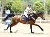 San Vitaliano, una chiacchiera con Rosita Spiezia, campionessa regionale di equitazione
